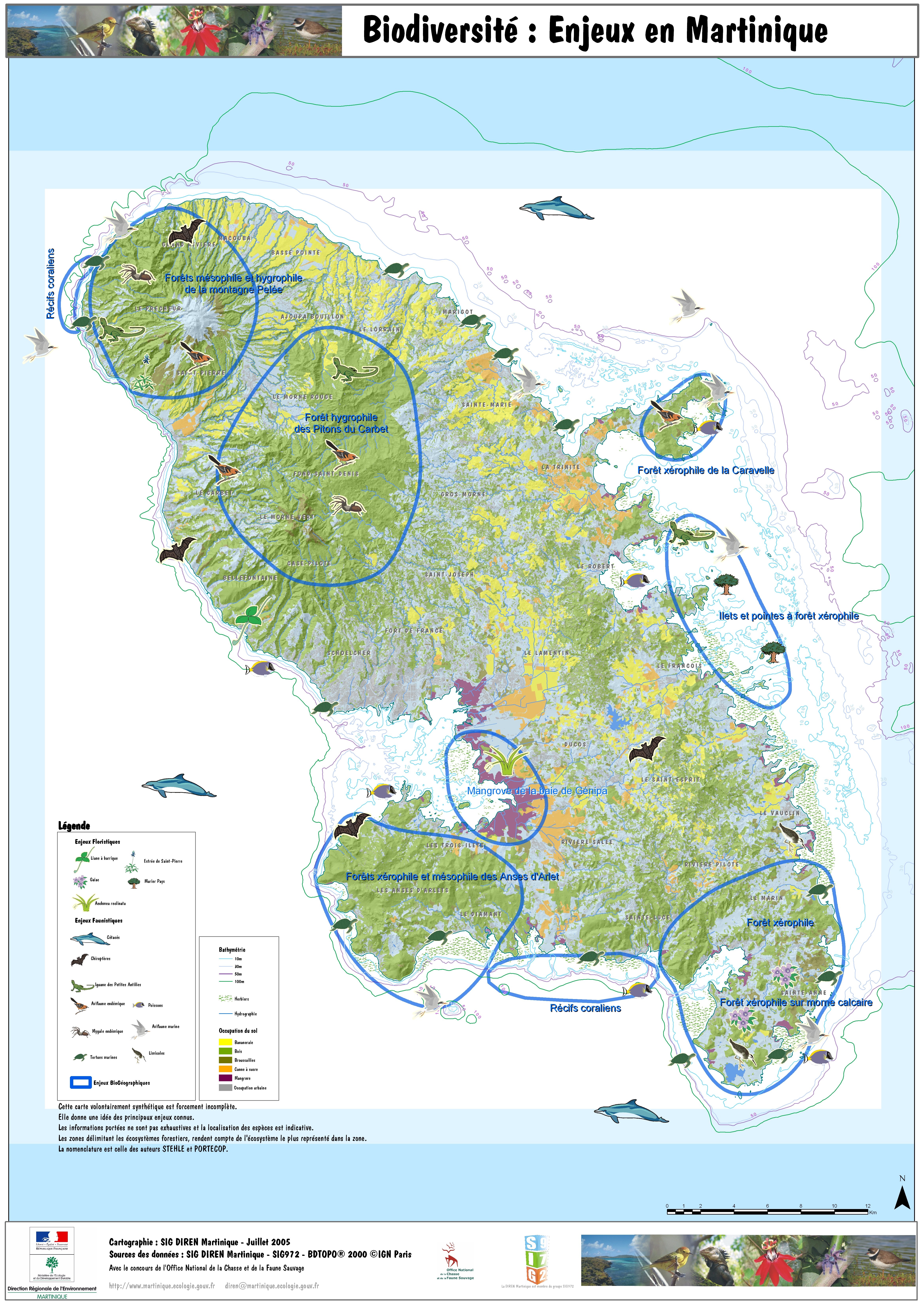 A1-BIODIVERSITE-_Enjeux_en_Martinique_cle294c76.jpg