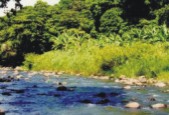 rivière du Lorrain (Séguineau)