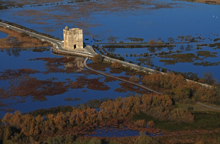 Camargue gardoise, 2014