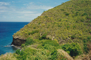 Cap Enragé (végétation xérophile) Photo : JP Fiard