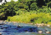 rivière du Lorrain (Séguineau) rivière du Lorrain (Séguineau)