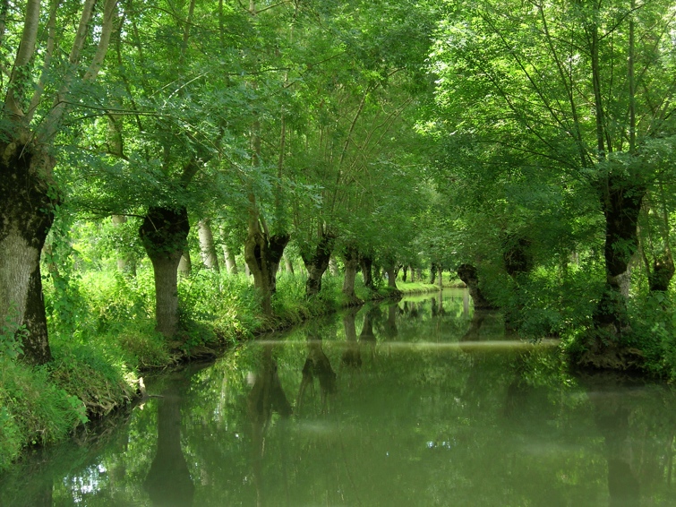 Marais poitevin, 2010