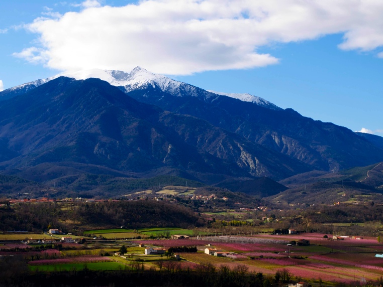 Massif du Canigo, 2012