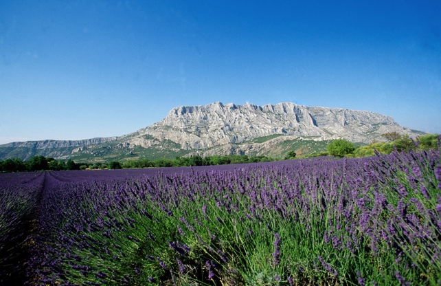 Sainte-Victoire, 2004