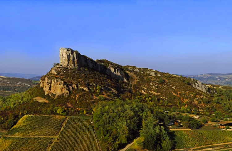 Solutré Pouilly Vergisson, 2013