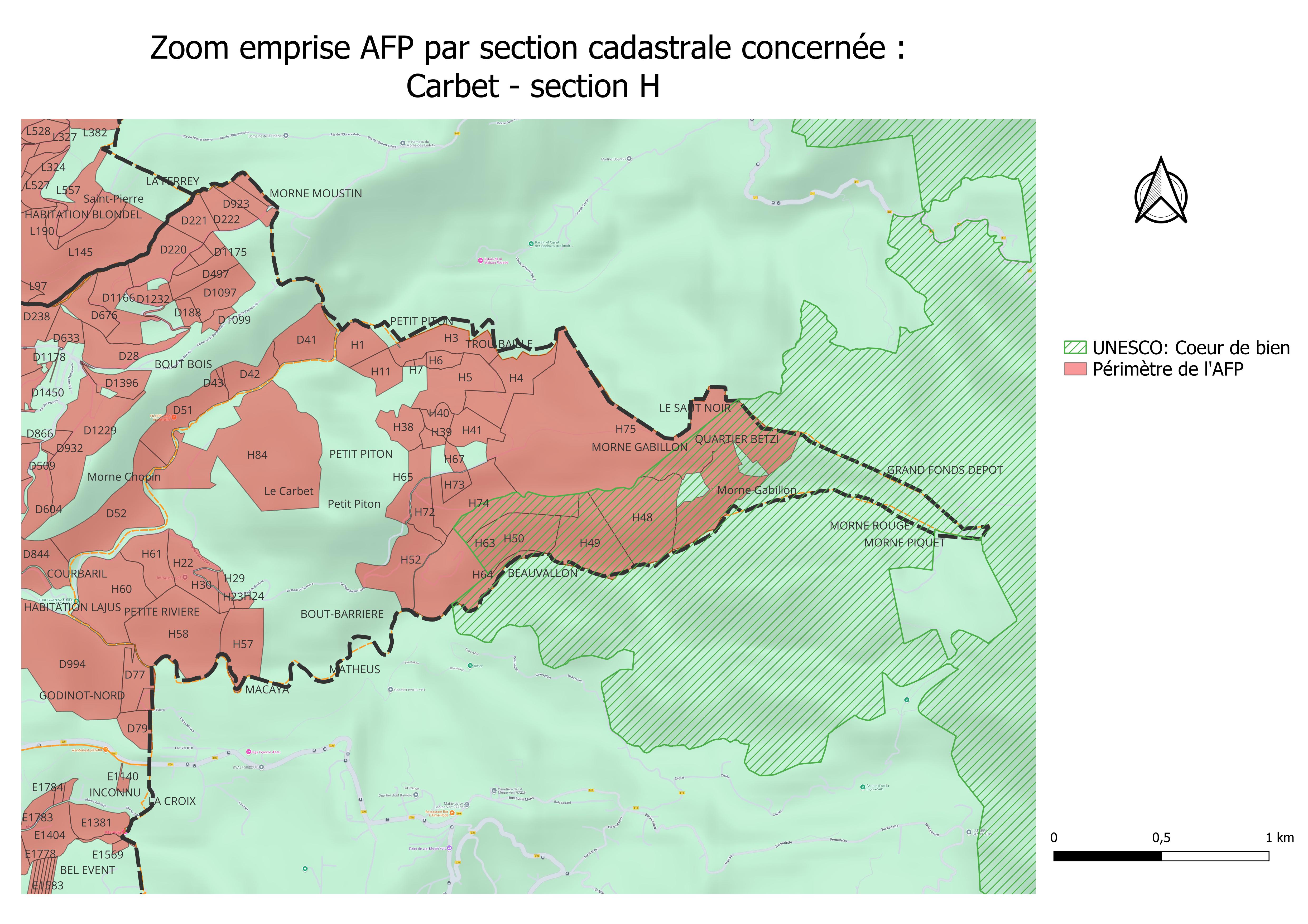 Zoom emprise AFP Carbet section H