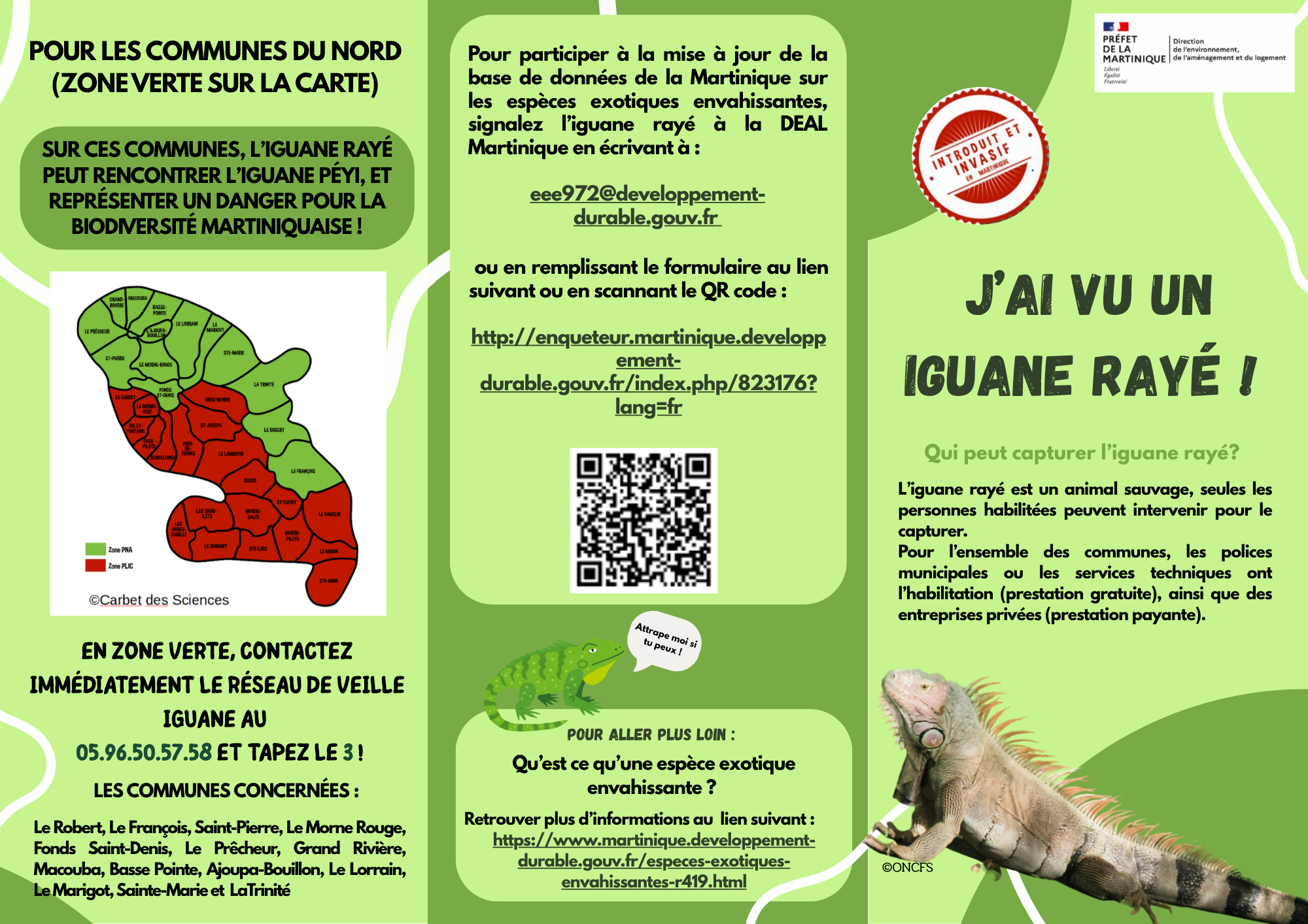 Signalement Iguane rayé proche des zones Iguane des petites Antilles (Nord et côte atlantique Martinique)